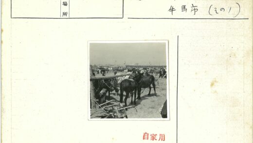 草原牧马与旗帜风景.jpg