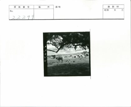 草原牧马与蒙古包风光.jpg