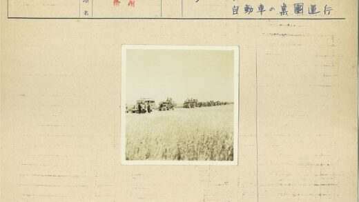 草地上的经典车聚会.jpg