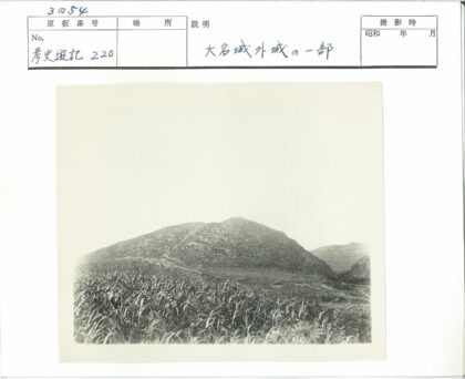 草地前景大山背景晴空.jpg