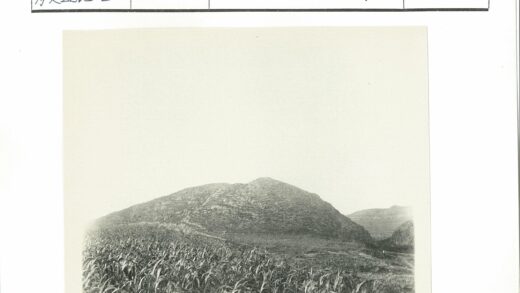 草地前景大山背景晴空.jpg
