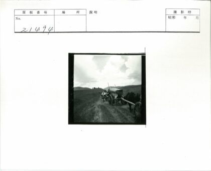 草地土路马车队补给运输.jpg