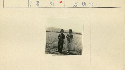 草地孩童远山建筑景.jpg