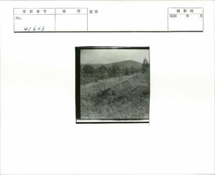 草地山丘间的古老石构.jpg