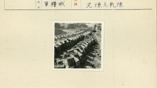 草地行走与草皮风景.jpg
