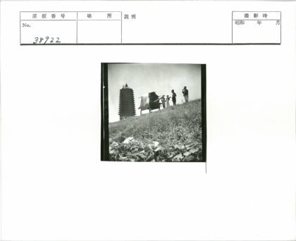 草地马车与塔风景照.jpg