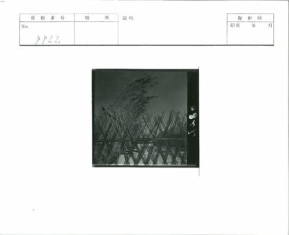 草编栅栏与晴空草捆.jpg