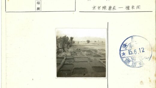 荒凉挖掘地与散落树木.jpg