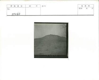 荒原土堆与山景树枝.jpg