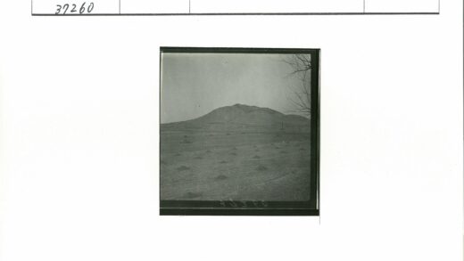 荒原土堆与山景树枝.jpg