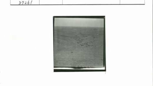 荒原山坡动物吃草景象.jpg