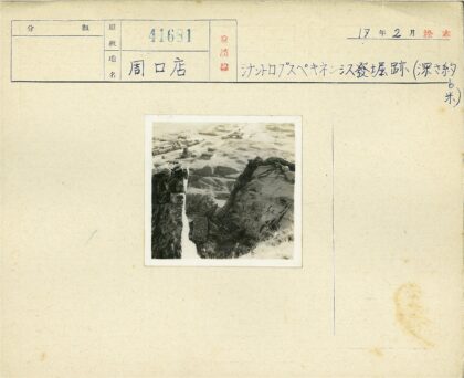 荒原悬崖与火车风景.jpg