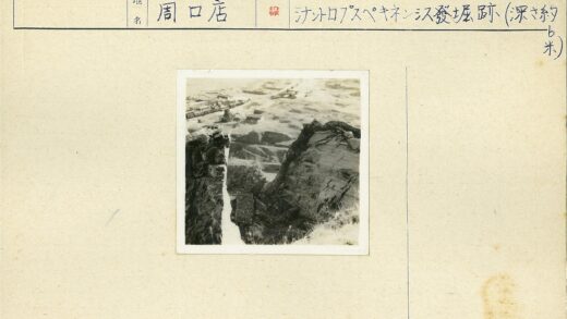 荒原悬崖与火车风景.jpg