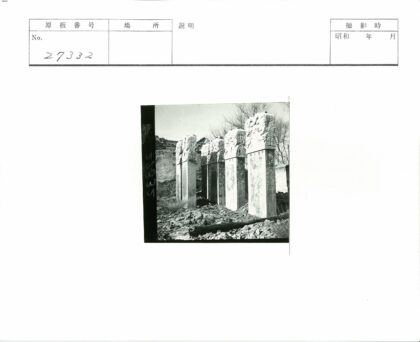荒原石柱与枯树景观.jpg
