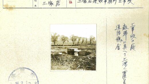 荒地上的木屋与枯树.jpg