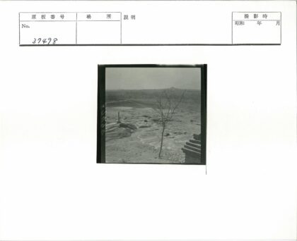 荒岩孤树石柱遗迹.jpg