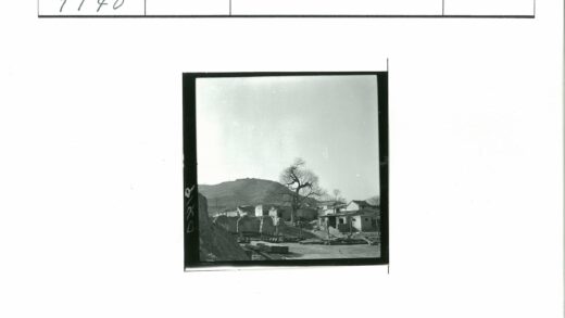 荒村秃山枯树散木景象.jpg
