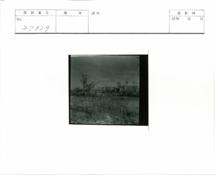 荒芜之地的孤独建筑.jpg