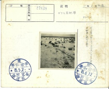 荒芜沙地足迹与阴天景象.jpg