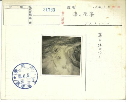 荒野小径与巨岩风光.jpg