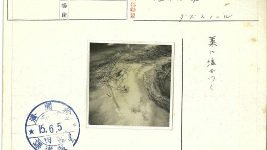 荒野小径与巨岩风光.jpg