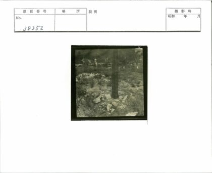 荒野木杆与石柱栅栏.jpg