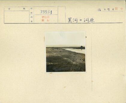 荒野河流与动物群.jpg