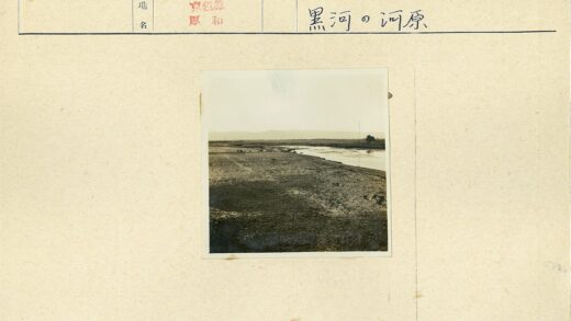 荒野河流与动物群.jpg