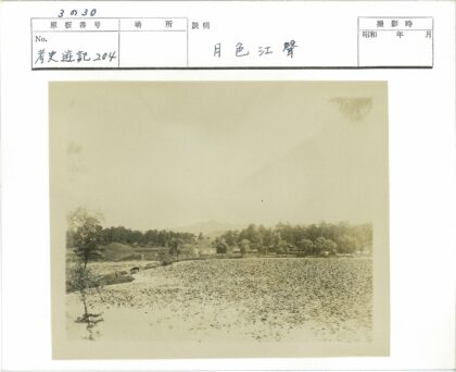 荒野田野远山树木景观.jpg