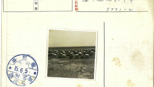 荒野篷车队远行.jpg