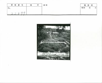 荒野草丛砖墙建筑背景.jpg