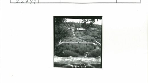 荒野草丛砖墙建筑背景.jpg