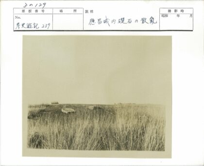 荒野草地与散石景观.jpg
