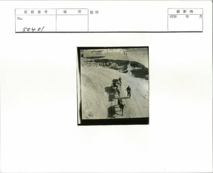 荒野驴车行.jpg