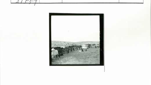 荒野骏马岩石群.jpg