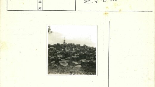 荷叶白塔云天下绿树环绕.jpg