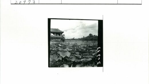 荷塘亭影远山宝塔风光.jpg