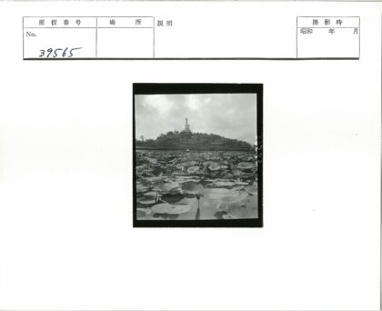 荷塘古寺远山宝塔.jpg