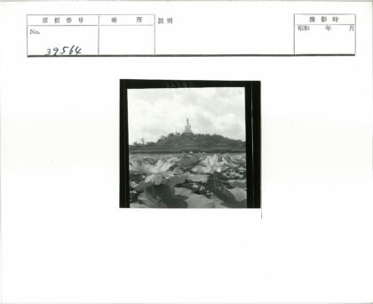 荷田山坡古建风光.jpg