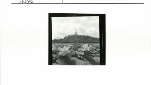 荷田山坡古建风光.jpg