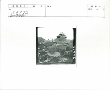 荷花与古建筑远景.jpg