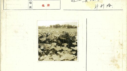 荷花田与远山建筑景色.jpg