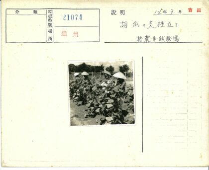 菜园劳作与圆锥帽工人.jpg