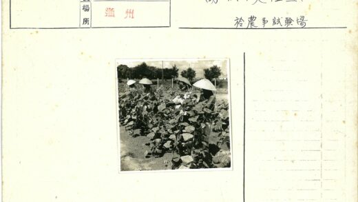 菜园劳作与圆锥帽工人.jpg