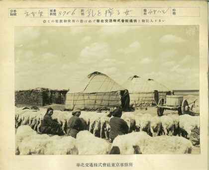 蒙古包旁牧羊人与手推车.jpg