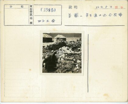 蒙古包旁牧羊人与石围栏.jpg