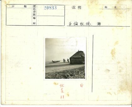 蒙古牧民与羊群.jpg