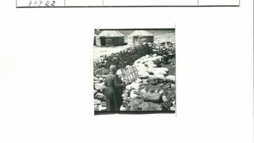 蒙古草原牧羊与石墙围栏.jpg