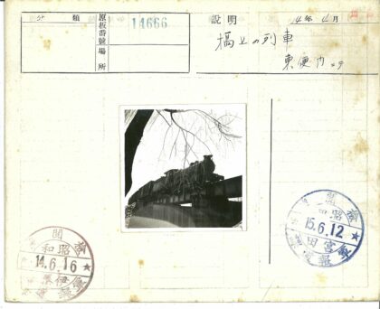 蒸汽火车过桥树枝前景.jpg