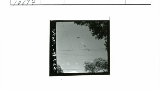 蓝天彩旗气球与树枝电线.jpg
